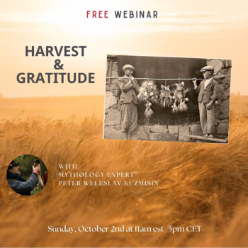 Global Slovakia - Harvest