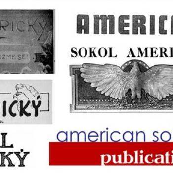 Sokol Americky