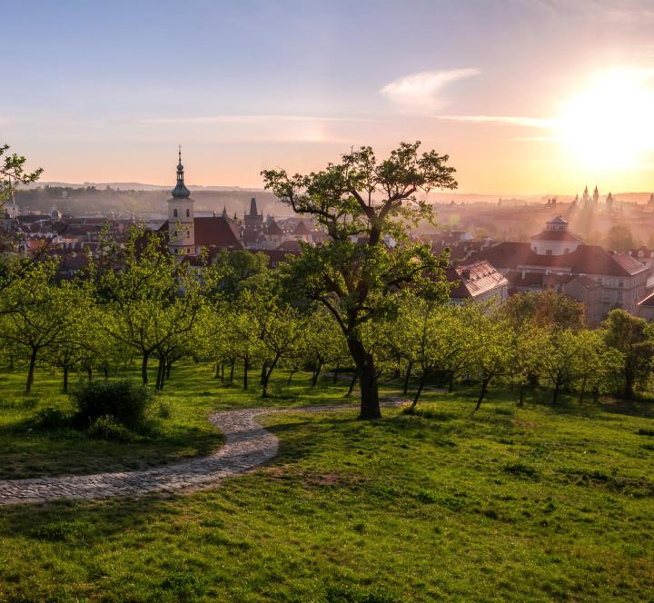 Prague in Springtime