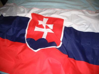 Slovak flag wavy