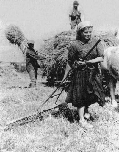 Global Slovakia - Harvest_2